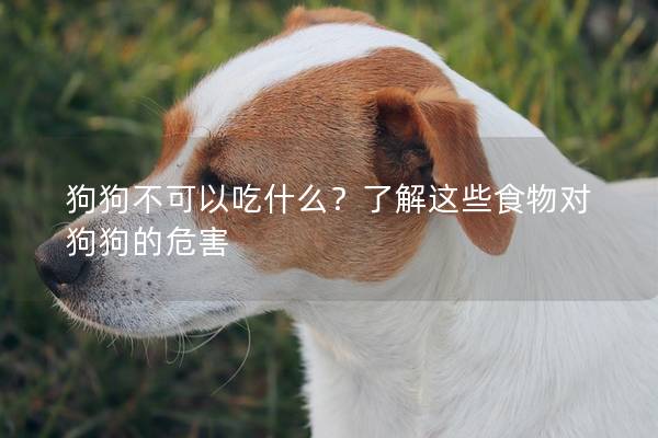 狗狗不可以吃什么？了解這些食物對(duì)狗狗的危害