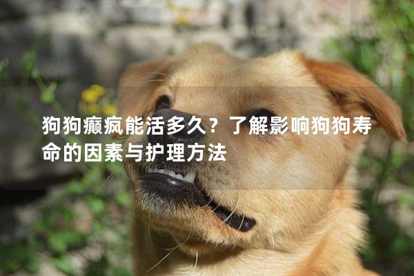 狗狗癲瘋能活多久？了解影響狗狗壽命的因素與護理方法