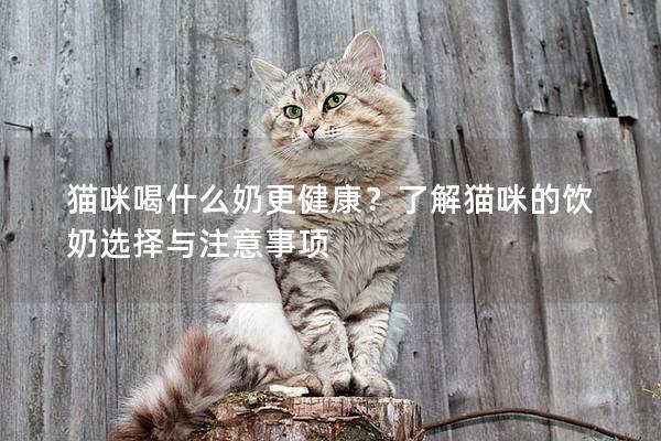 貓咪喝什么奶更健康？了解貓咪的飲奶選擇與注意事項