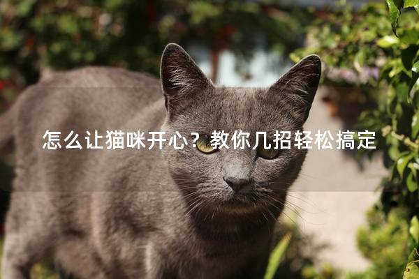 怎么讓貓咪開心？教你幾招輕松搞定