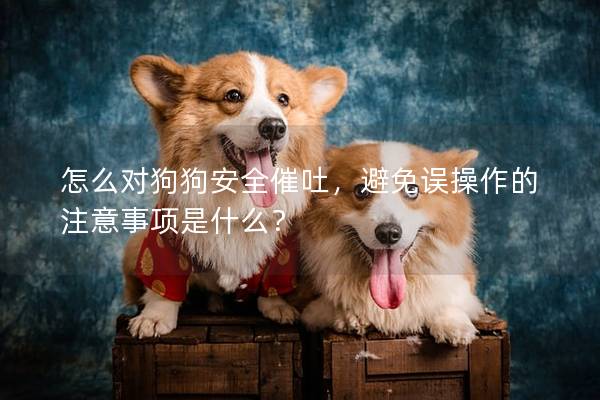 怎么對狗狗安全催吐，避免誤操作的注意事項是什么？