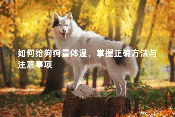 如何給狗狗量體溫，掌握正確方法與注意事項(xiàng)