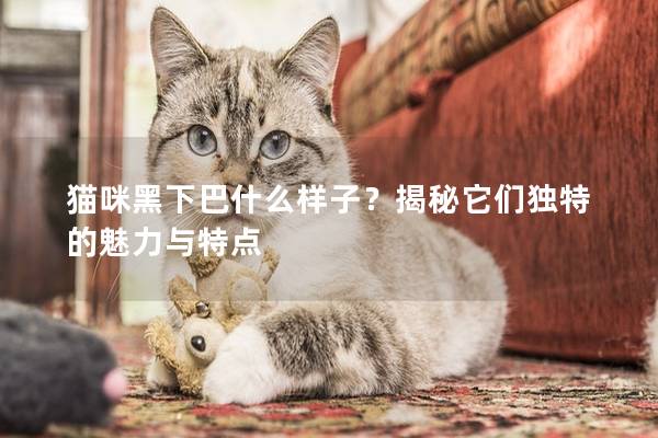 貓咪黑下巴什么樣子？揭秘它們獨特的魅力與特點