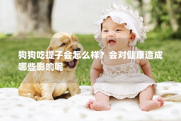 狗狗吃提子會怎么樣？會對健康造成哪些影響呢