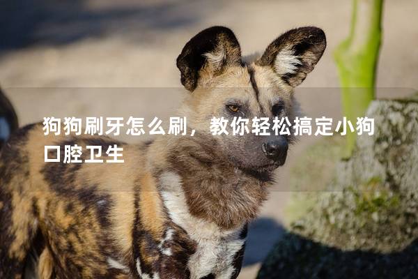 狗狗刷牙怎么刷，教你輕松搞定小狗口腔衛(wèi)生