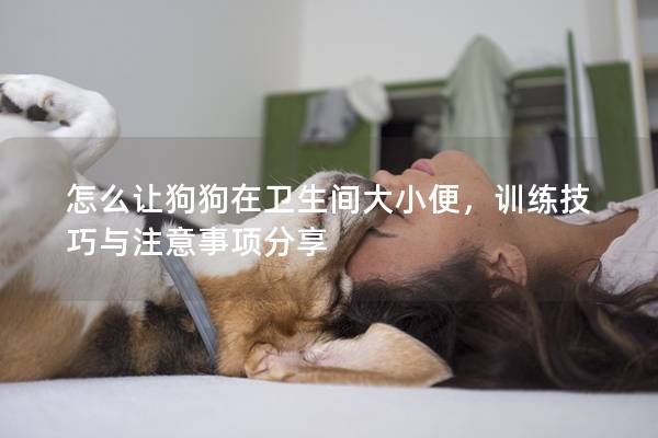 怎么讓狗狗在衛(wèi)生間大小便，訓練技巧與注意事項分享