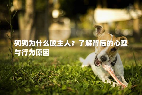 狗狗為什么咬主人？了解背后的心理與行為原因