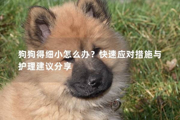 狗狗得細(xì)小怎么辦？快速應(yīng)對(duì)措施與護(hù)理建議分享