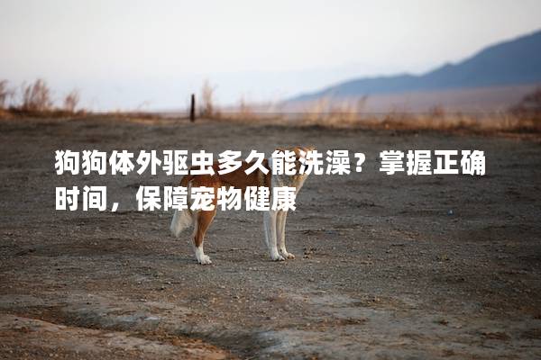 狗狗體外驅蟲多久能洗澡？掌握正確時間，保障寵物健康