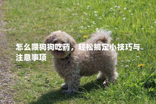 怎么喂狗狗吃藥,輕松搞定小技巧與注意事項 怎么喂狗狗吃藥,輕松搞定小技巧與注意事項