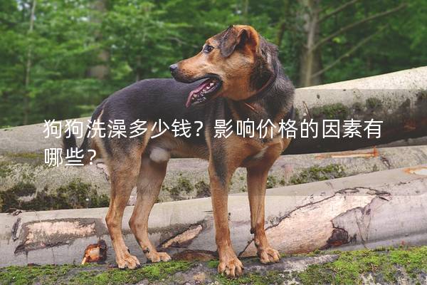 狗狗洗澡多少錢？影響價(jià)格的因素有哪些？