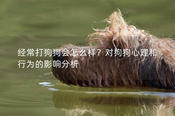經常打狗狗會怎么樣？對狗狗心理和行為的影響分析