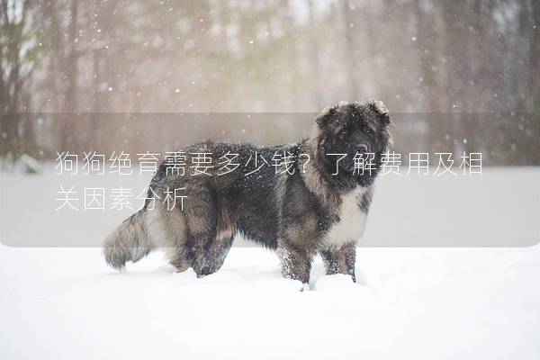 狗狗絕育需要多少錢？了解費用及相關因素分析