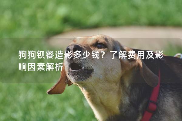狗狗鋇餐造影多少錢？了解費(fèi)用及影響因素解析