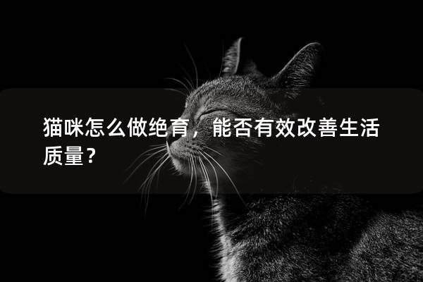貓咪怎么做絕育，能否有效改善生活質量？