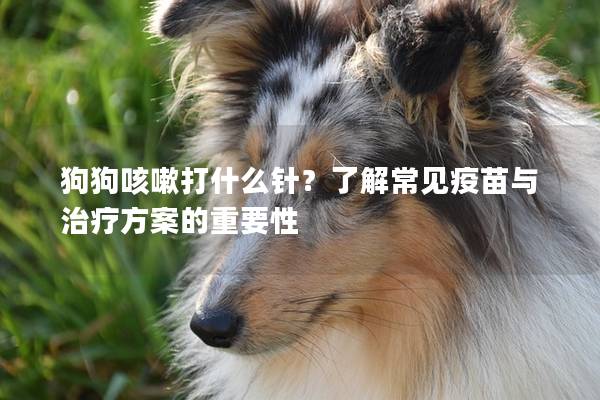 狗狗咳嗽打什么針？了解常見(jiàn)疫苗與治療方案的重要性