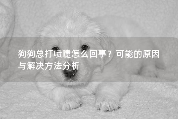 狗狗總打噴嚏怎么回事？可能的原因與解決方法分析