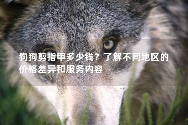 狗狗剪指甲多少錢？了解不同地區的價格差異和服務內容