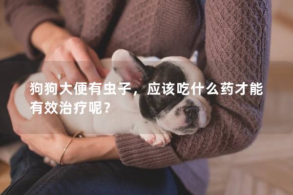 狗狗大便有蟲(chóng)子，應(yīng)該吃什么藥才能有效治療呢？