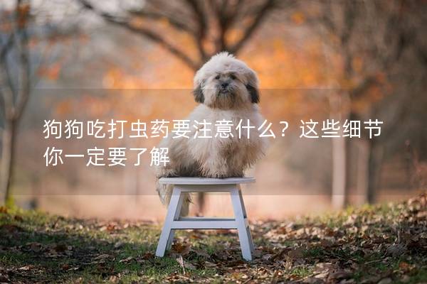 狗狗吃打蟲藥要注意什么？這些細節你一定要了解