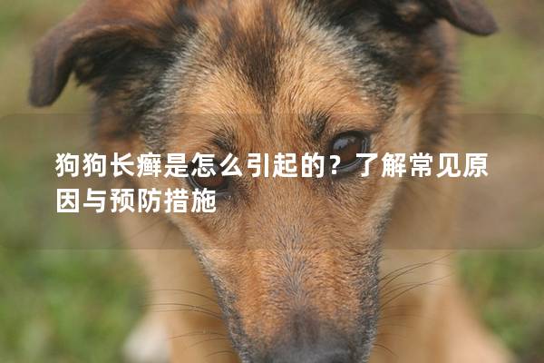 狗狗長癬是怎么引起的？了解常見原因與預防措施