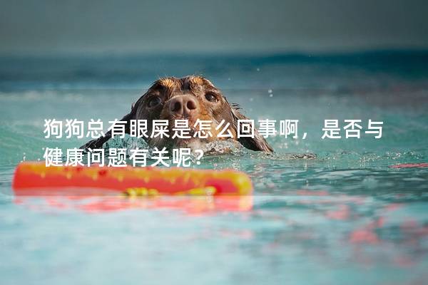 狗狗總有眼屎是怎么回事啊，是否與健康問題有關呢？