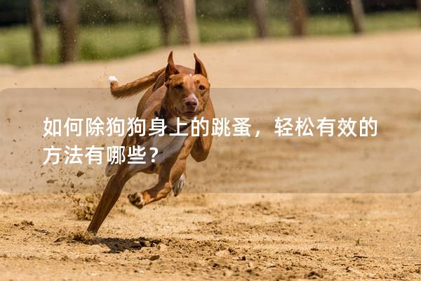 如何除狗狗身上的跳蚤，輕松有效的方法有哪些？