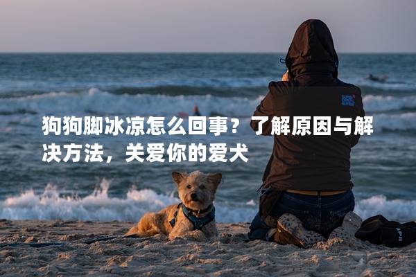 狗狗腳冰涼怎么回事？了解原因與解決方法，關愛你的愛犬