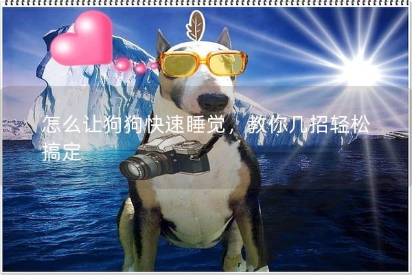 怎么讓狗狗快速睡覺，教你幾招輕松搞定