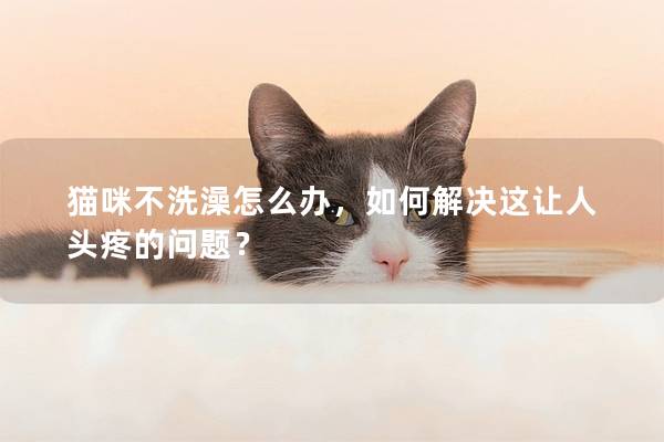 貓咪不洗澡怎么辦，如何解決這讓人頭疼的問題？