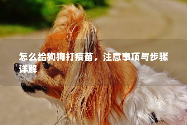 怎么給狗狗打疫苗，注意事項與步驟詳解