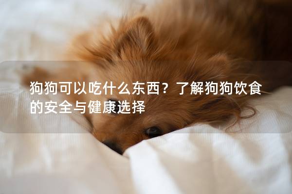 狗狗可以吃什么東西？了解狗狗飲食的安全與健康選擇