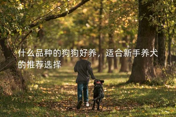 什么品種的狗狗好養，適合新手養犬的推薦選擇