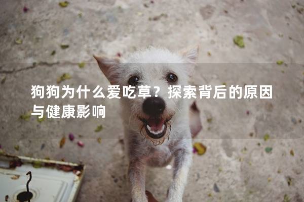 狗狗為什么愛吃草？探索背后的原因與健康影響