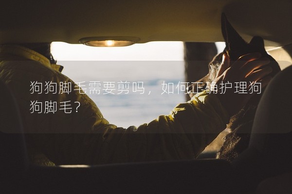 狗狗腳毛需要剪嗎，如何正確護(hù)理狗狗腳毛？