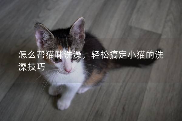 怎么幫貓咪洗澡，輕松搞定小貓的洗澡技巧