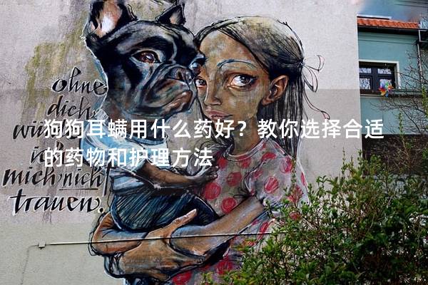 狗狗耳螨用什么藥好？教你選擇合適的藥物和護理方法