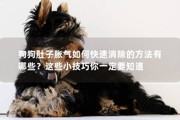 狗狗肚子脹氣如何快速消除的方法有哪些?這些小技巧你一定要知道 狗狗肚子脹氣如何快速消除的方法有哪些?這些小技巧你一定要知道