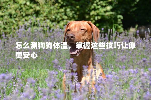 怎么測狗狗體溫，掌握這些技巧讓你更安心