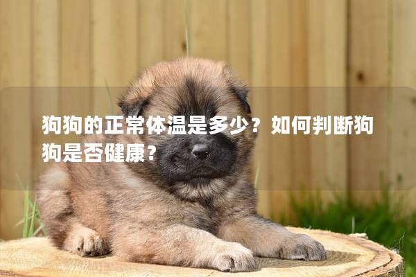 狗狗的正常體溫是多少？如何判斷狗狗是否健康？