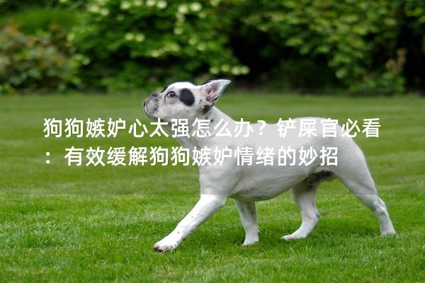 狗狗嫉妒心太強怎么辦？鏟屎官必看：有效緩解狗狗嫉妒情緒的妙招