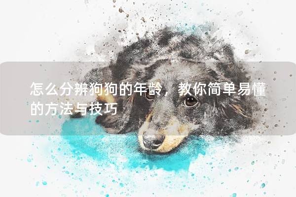 怎么分辨狗狗的年齡，教你簡單易懂的方法與技巧