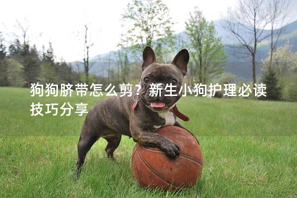 狗狗臍帶怎么剪?新生小狗護理必讀技巧分享