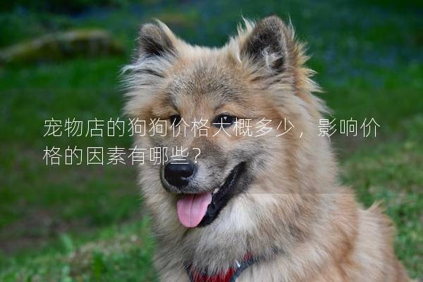 寵物店的狗狗價格大概多少，影響價格的因素有哪些？