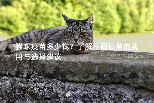 貓咪疫苗多少錢(qián)？了解不同疫苗的費(fèi)用與選擇建議