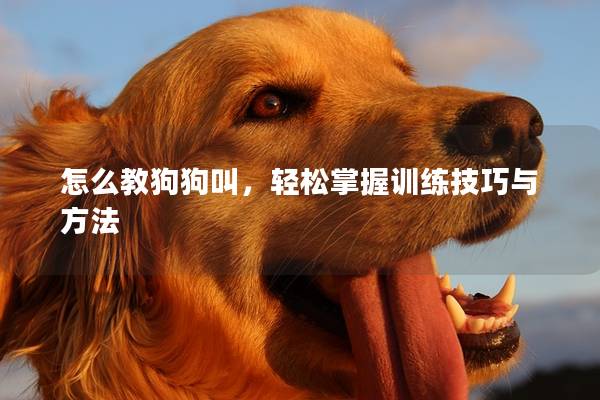 怎么教狗狗叫,輕松掌握訓練技巧與方法 怎么教狗狗叫,輕松掌握訓練技巧與方法