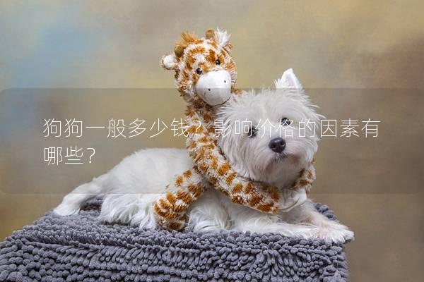 狗狗一般多少錢？影響價格的因素有哪些？