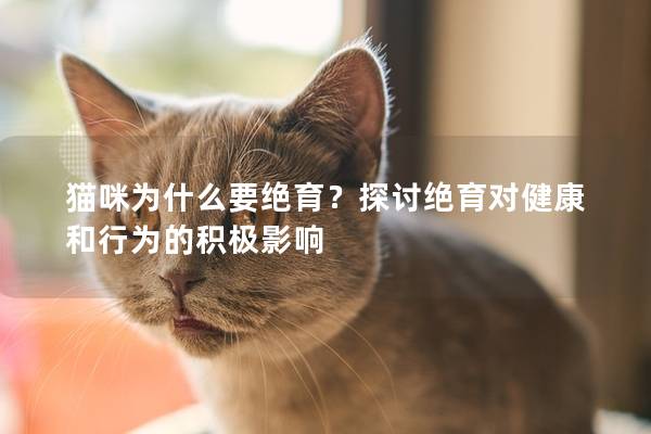 貓咪為什么要絕育？探討絕育對健康和行為的積極影響
