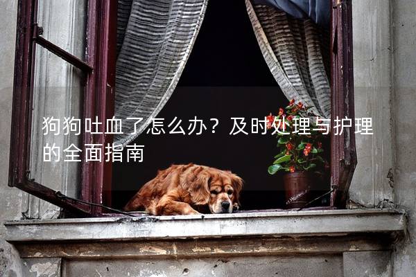 狗狗吐血了怎么辦？及時處理與護理的全面指南