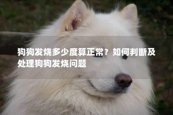 狗狗發燒多少度算正常?如何判斷及處理狗狗發燒問題 狗狗發燒多少度算正常?如何判斷及處理狗狗發燒問題
